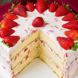 Fresh Fruit Cake Singapore for Festive Gatherings and Everyday Treats