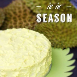 Durian Cake Singapore Guide for Dessert Lovers Who Want to Indulge